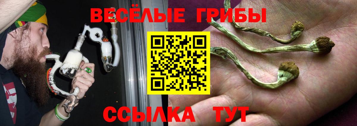 Чита  Псилоцибиновые грибы мухоморы  где можно купить   Вход с VPN  Псилоцибиновые грибы ЛСД 